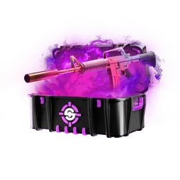 CaseIcon