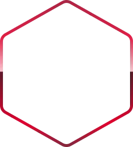 Avatar Level Border